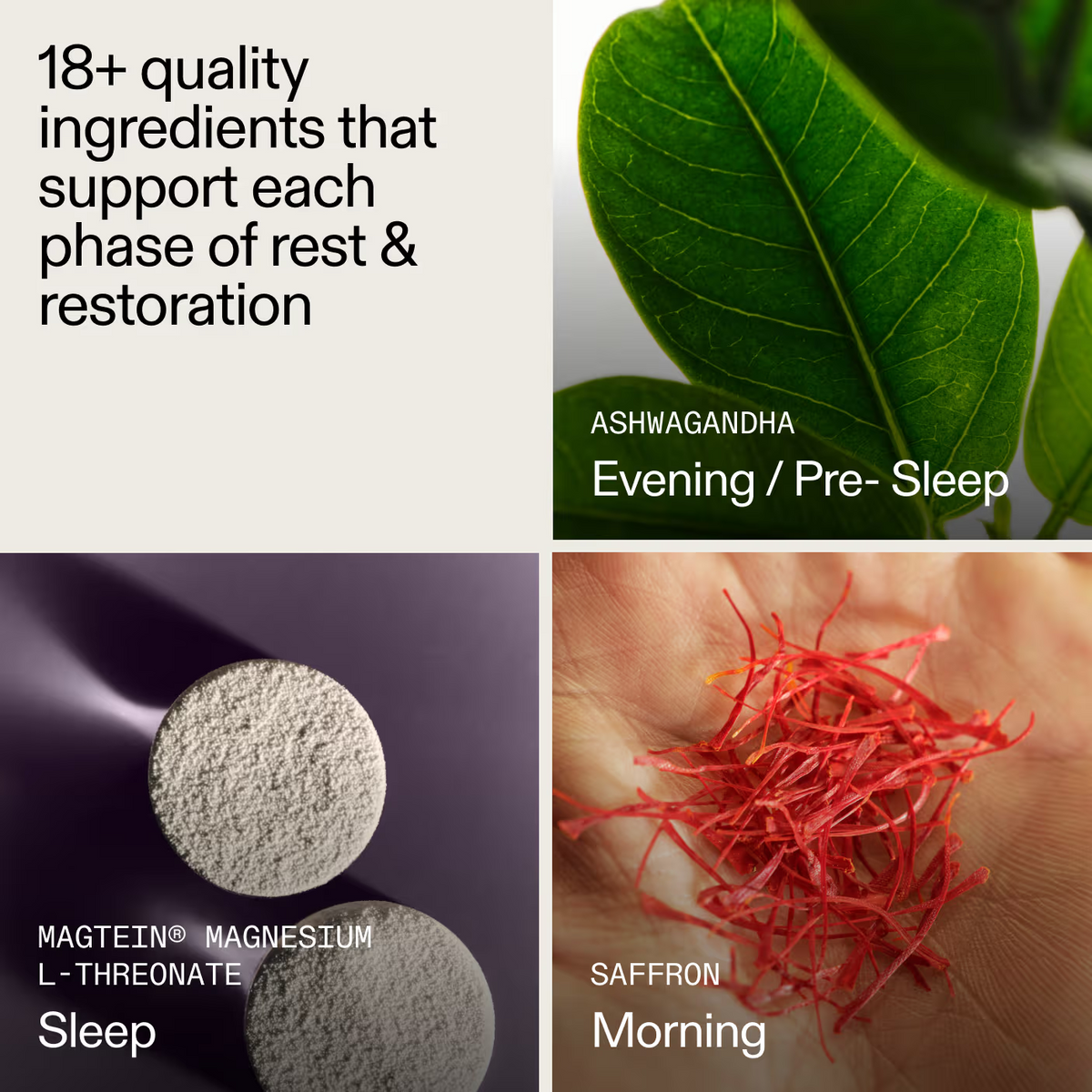 AGZ: Nightly Sleep Support